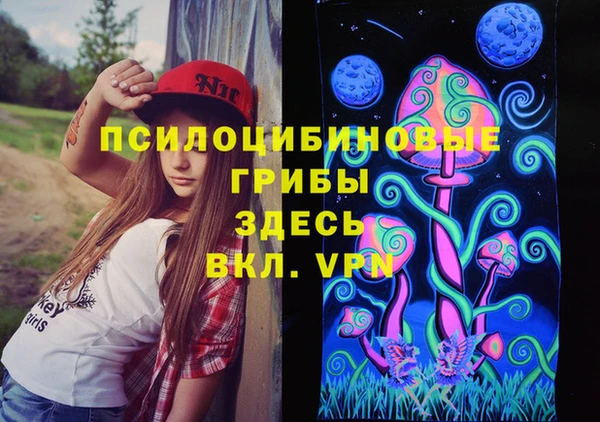 шишки Балахна