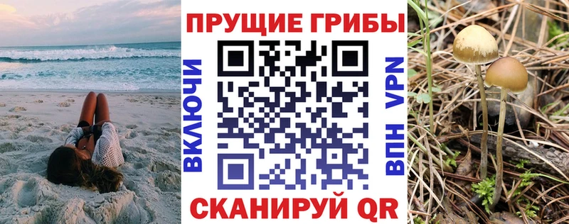 гидра ссылки  Сосногорск  Псилоцибиновые грибы ЛСД 